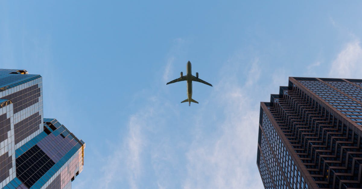 Establece tu empresa en Panamá  si vives en 
Brasil